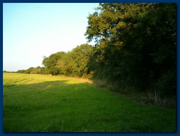 600x449 pixels (115K)